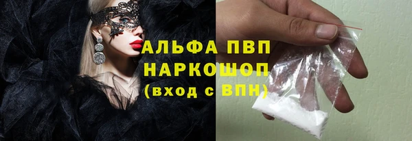 индика Балахна