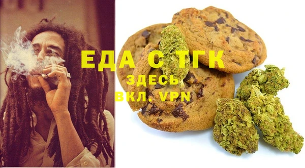 индика Балахна
