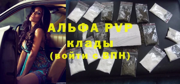 индика Балахна