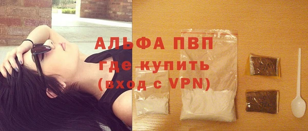индика Балахна